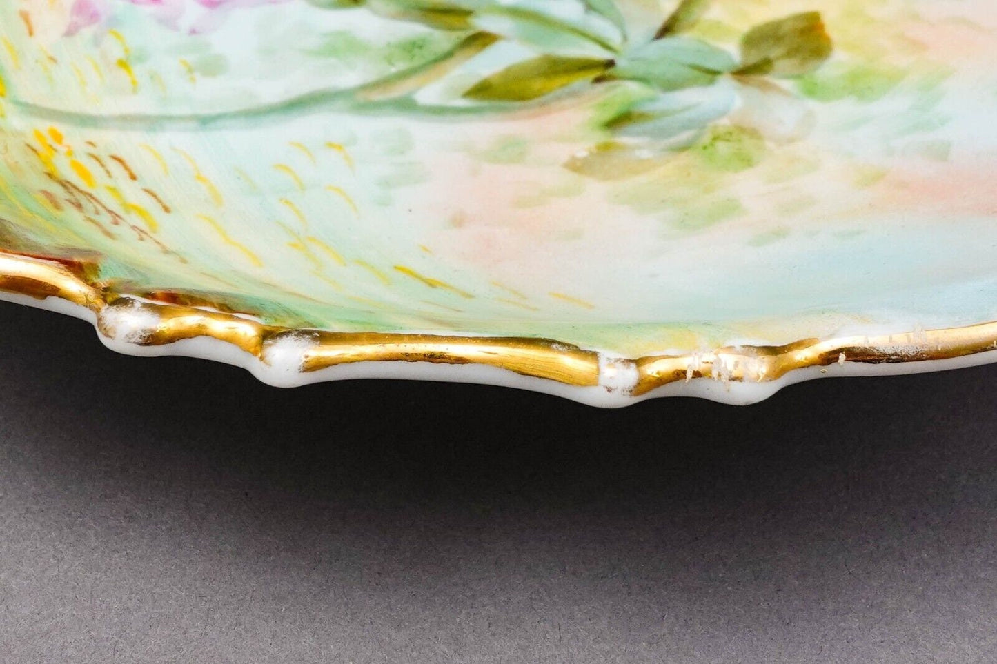 LS&S Carlsbad Austria Signed Hand Painted Porcelain Parakeet Birds Plate 11 1/8"