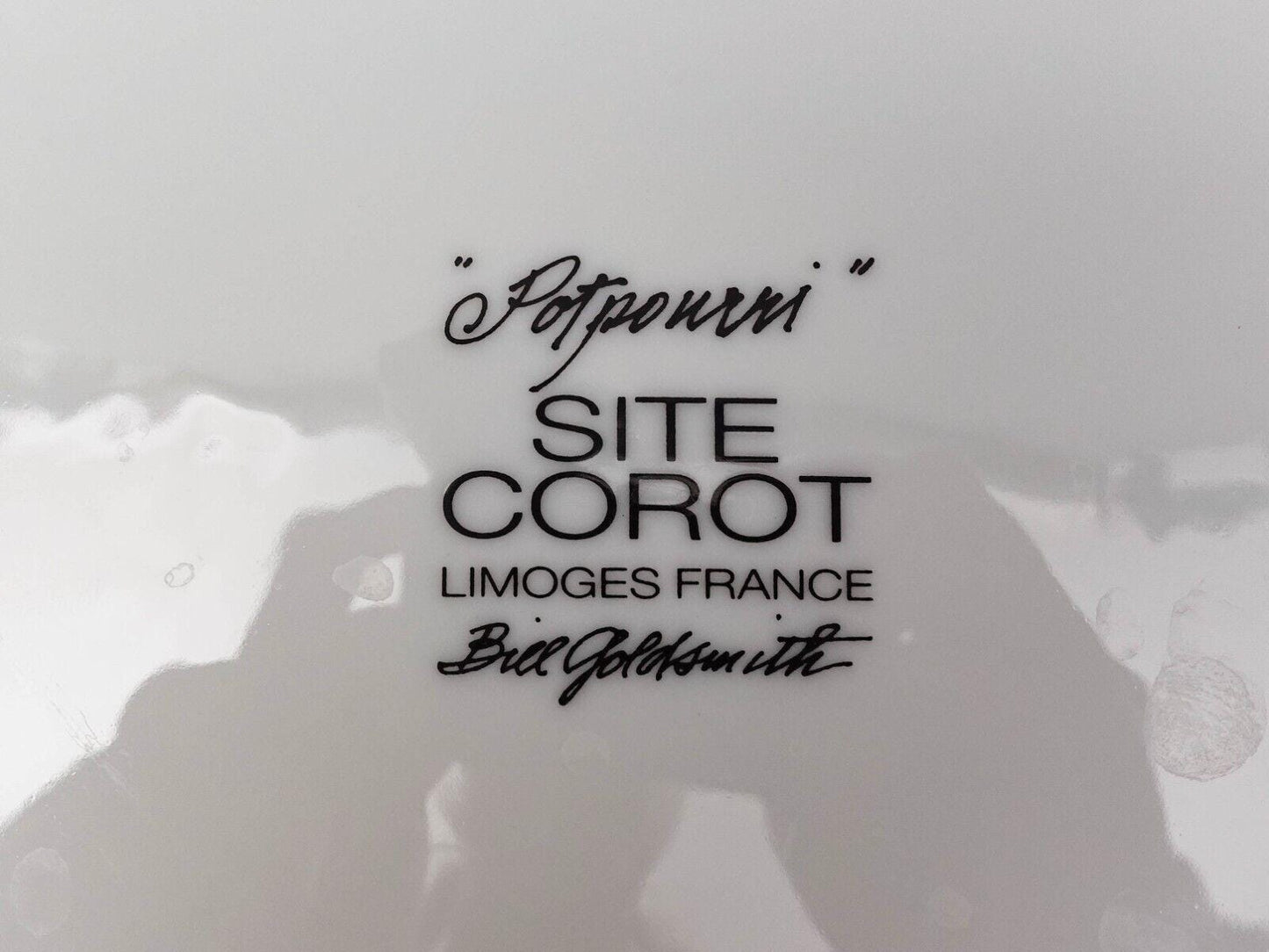 Bill Goldsmith Site Corot Limoges France Potpourri 8" Salad Plate Set Of 7