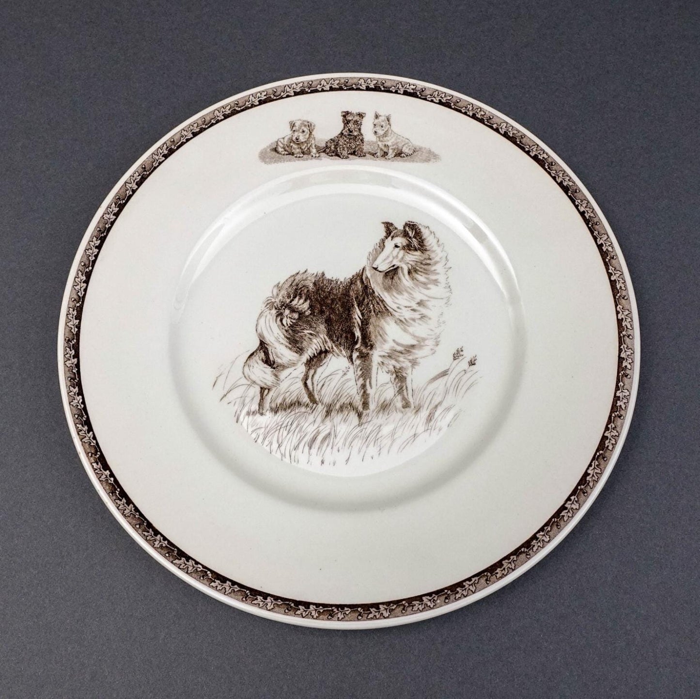 Wedgwood Non-Sporting Terrier Working Dog "Highland Chief " Collie Plate Kirmse