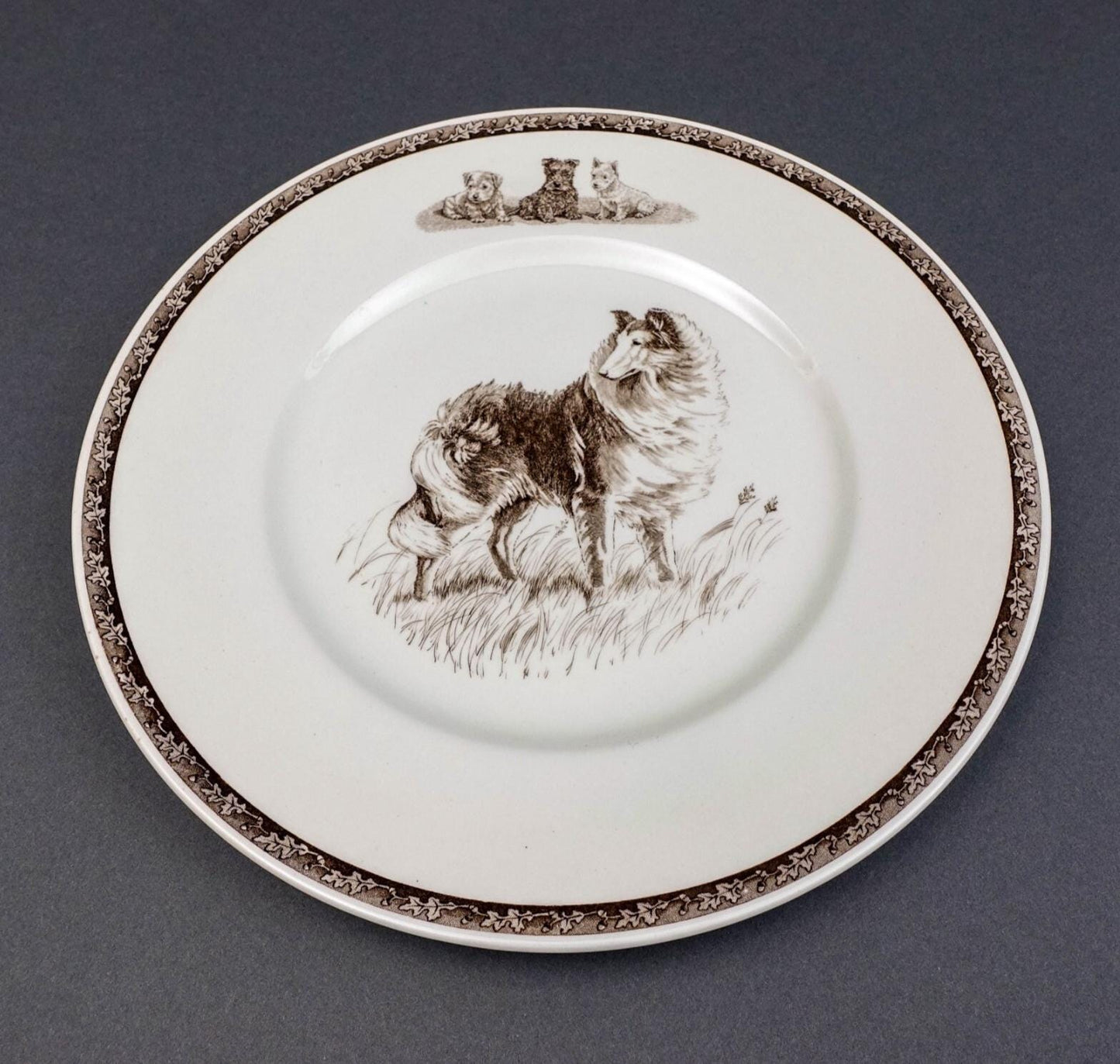 Wedgwood Non-Sporting Terrier Working Dog "Highland Chief " Collie Plate Kirmse