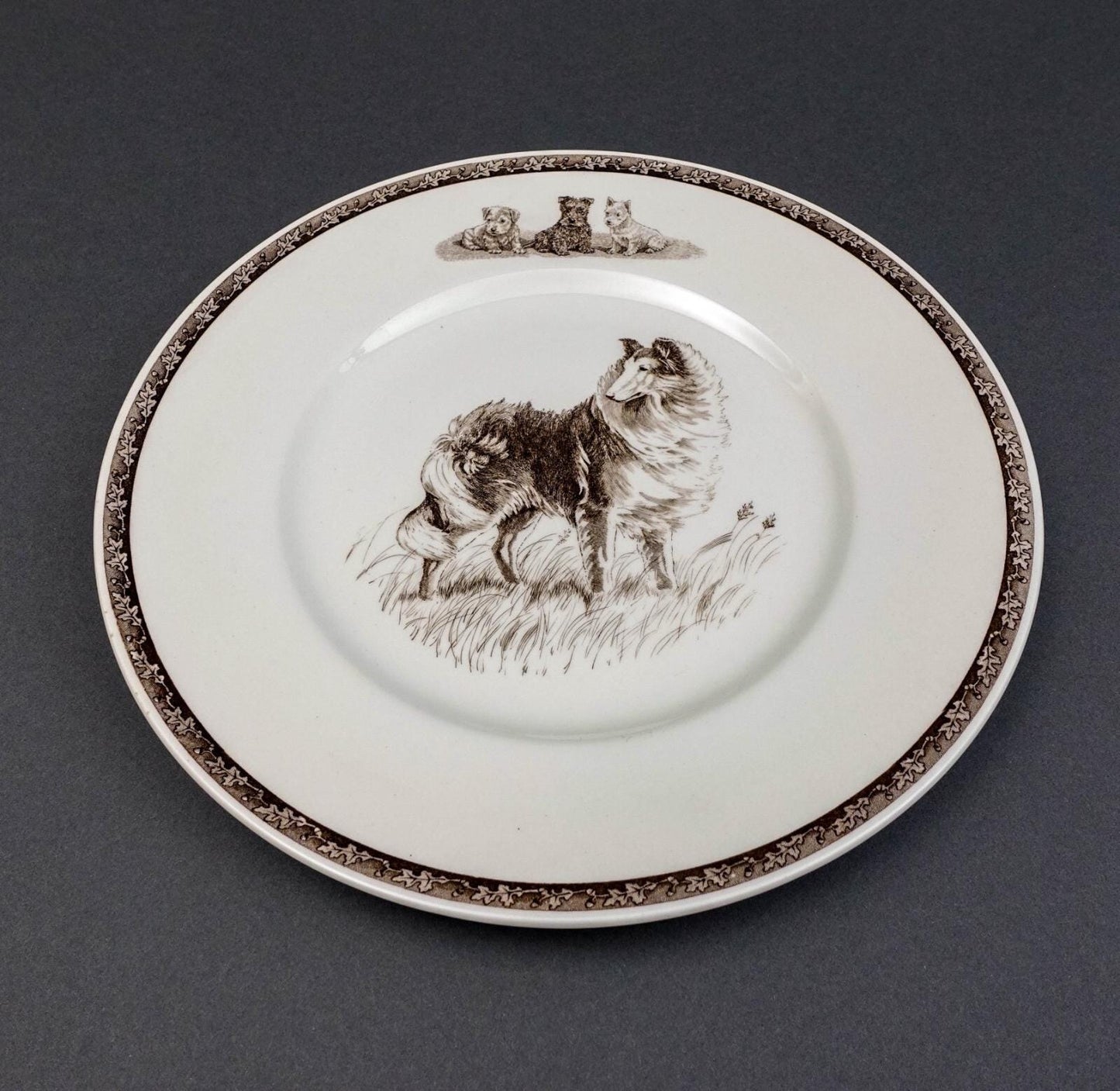 Wedgwood Non-Sporting Terrier Working Dog "Highland Chief " Collie Plate Kirmse