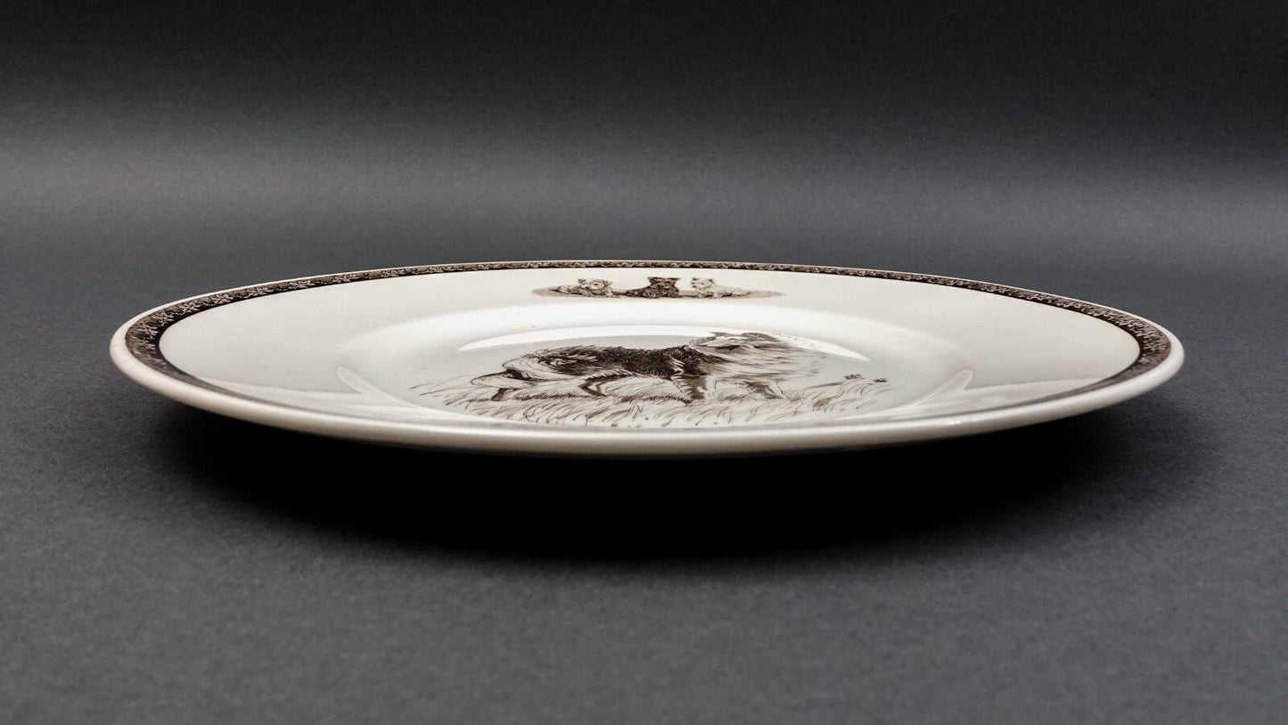 Wedgwood Non-Sporting Terrier Working Dog "Highland Chief " Collie Plate Kirmse