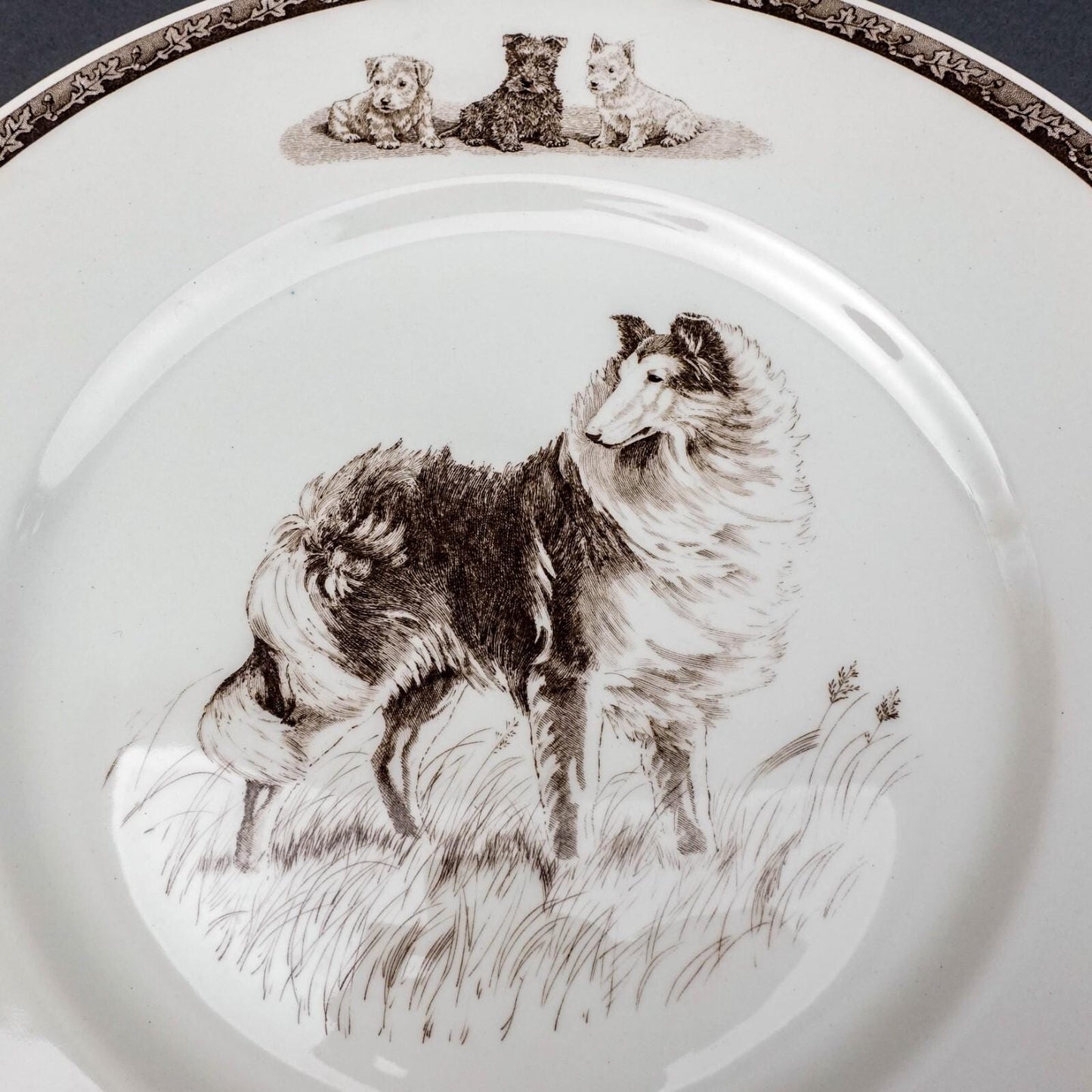 Wedgwood Non-Sporting Terrier Working Dog "Highland Chief " Collie Plate Kirmse