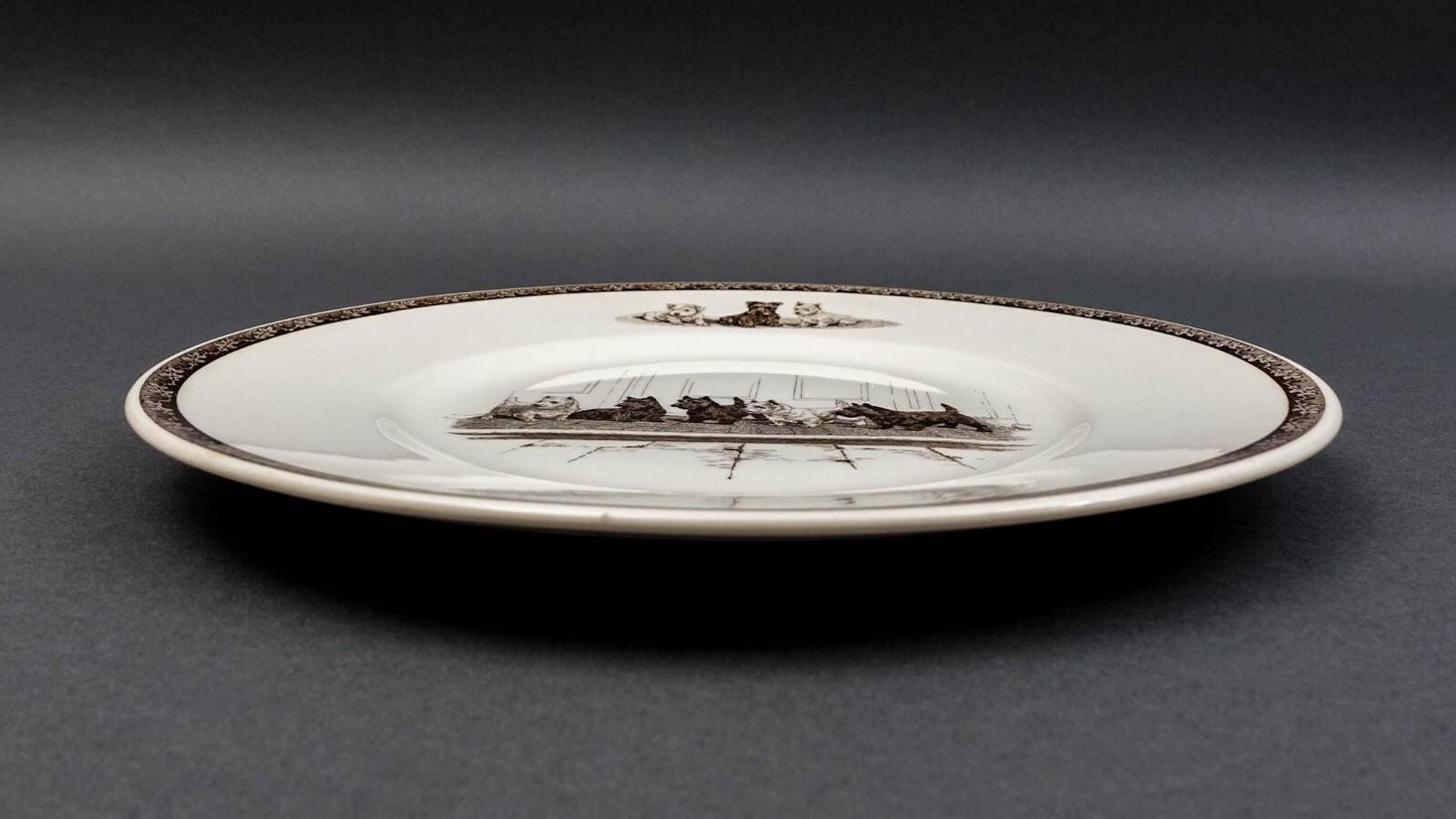 Wedgwood Working Dog "A Full House" Scottish West Highland Terriers Plate Kirmse