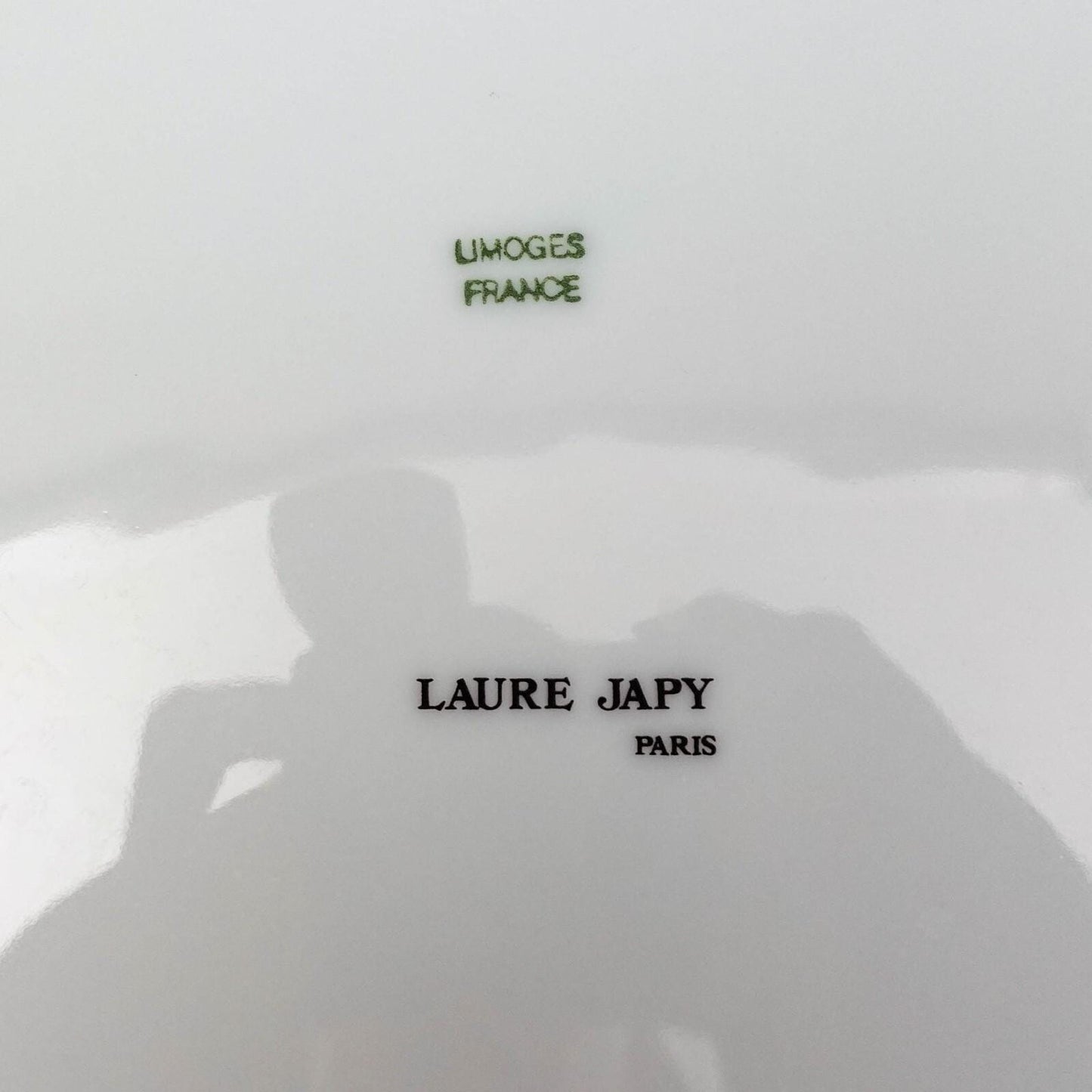 Laure Japy Paris Limoges Jardin Bleu Fruit 11.75" Charger Service Plate Set Of 4