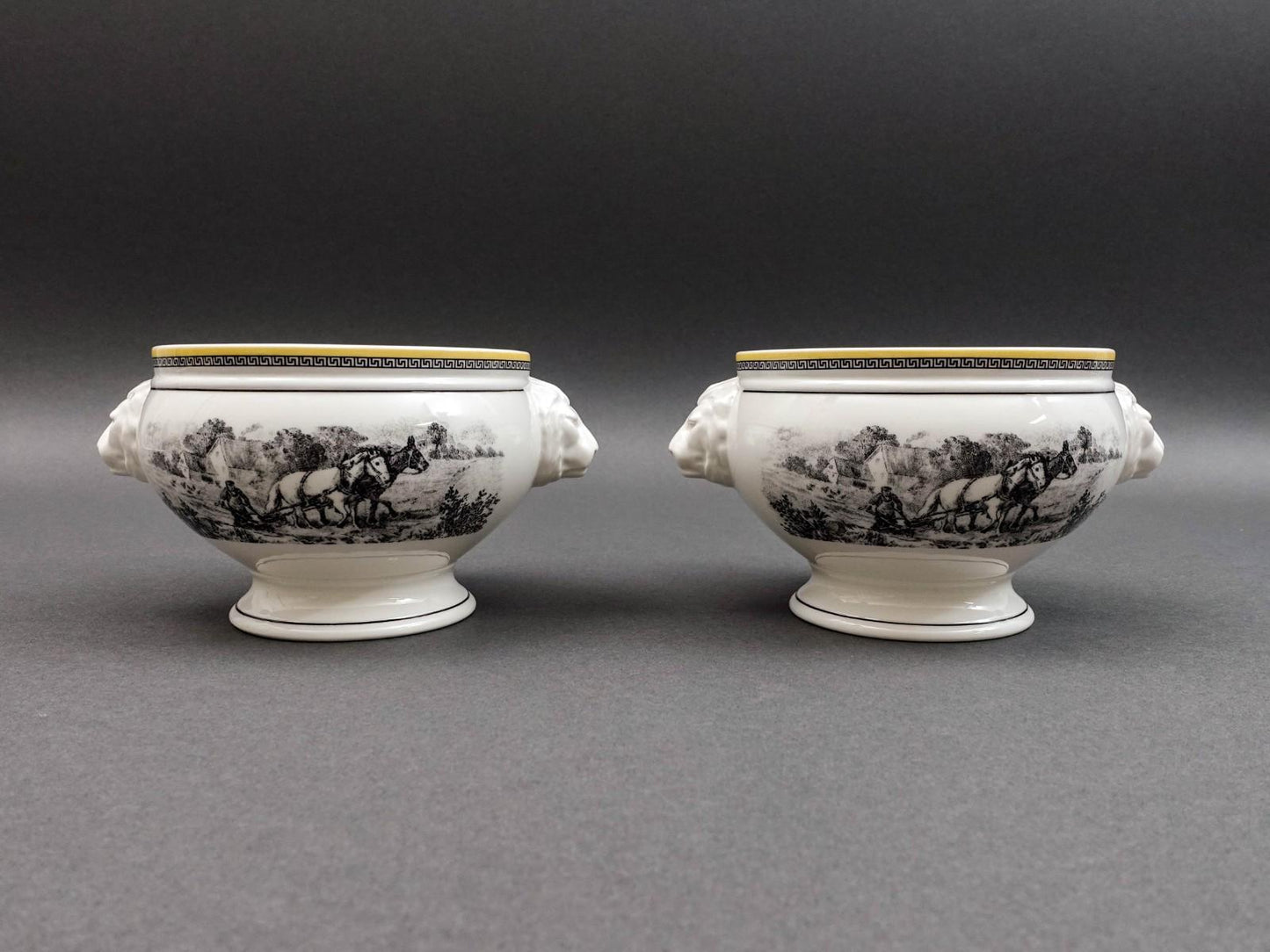 Villeroy & Boch Germany Audun Ferme Lion Head Porcelain Soup Bowl Set of 2