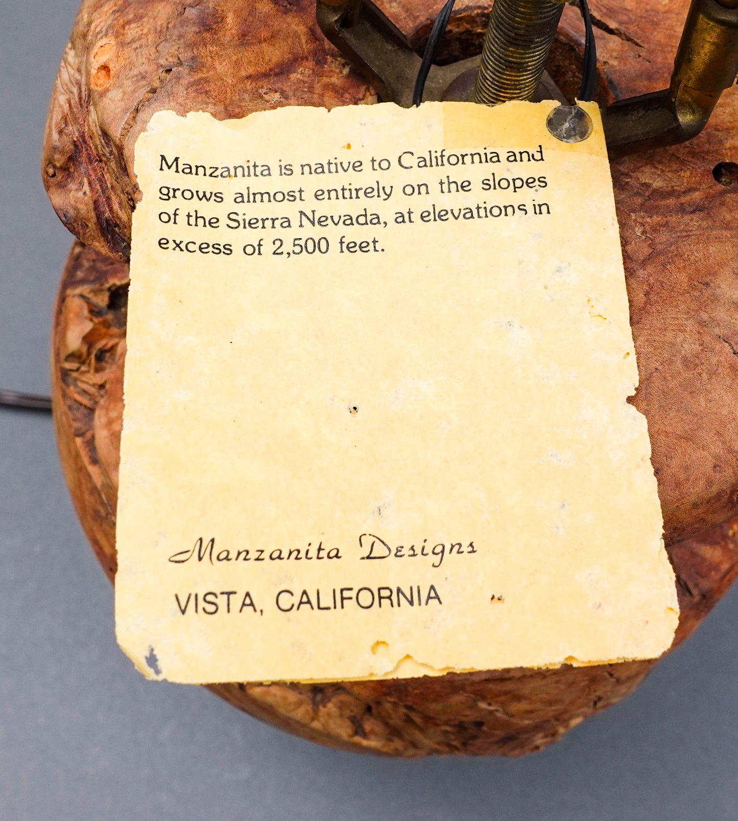 Manzanita Designs California Vintage Free Form Burl Root Wood Table Lamp