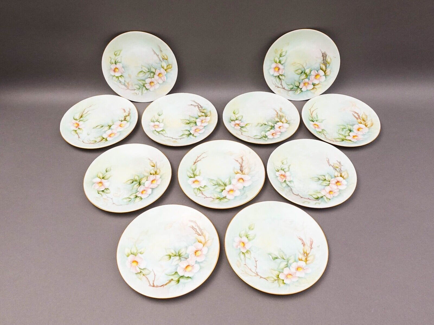Hutschenreuther Selb Bavaria Germany Julia Duggan Painted Floral Plate Set Of 11