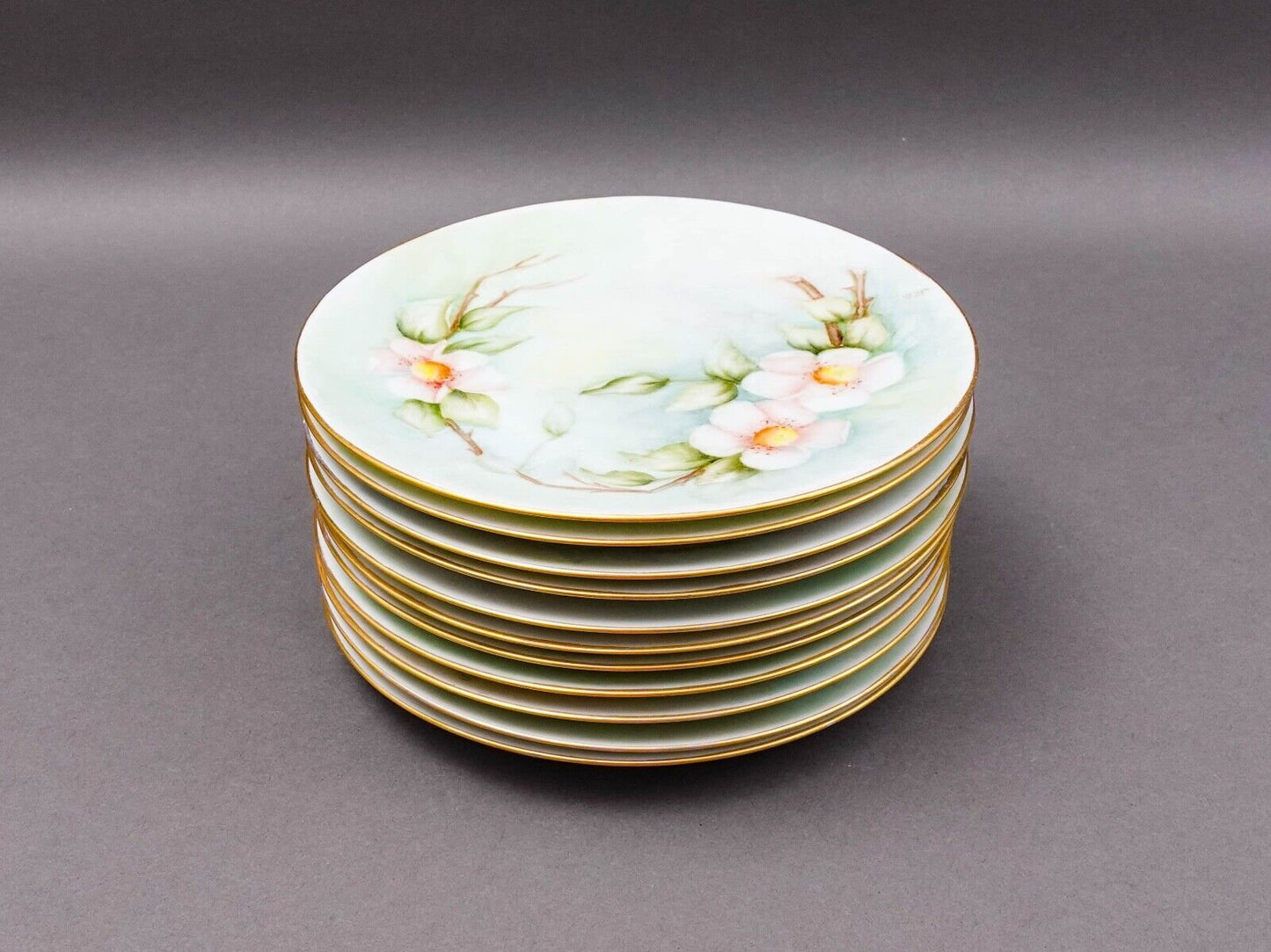 Hutschenreuther Selb Bavaria Germany Julia Duggan Painted Floral Plate Set Of 11