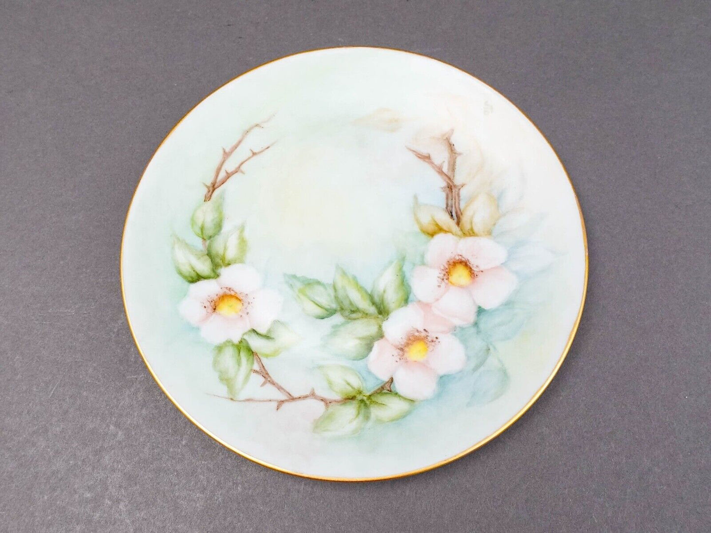 Hutschenreuther Selb Bavaria Germany Julia Duggan Painted Floral Plate Set Of 11