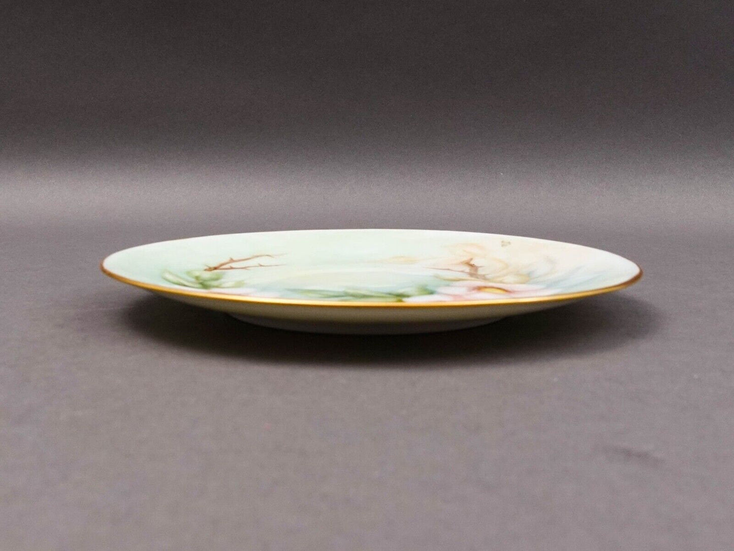 Hutschenreuther Selb Bavaria Germany Julia Duggan Painted Floral Plate Set Of 11