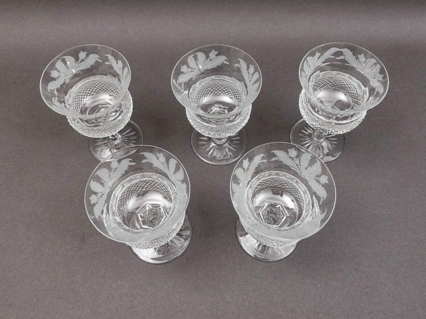 Edinburgh Crystal Scotland Thistle 4 7/8" Champagne Sherbet Glasses Set Of 5