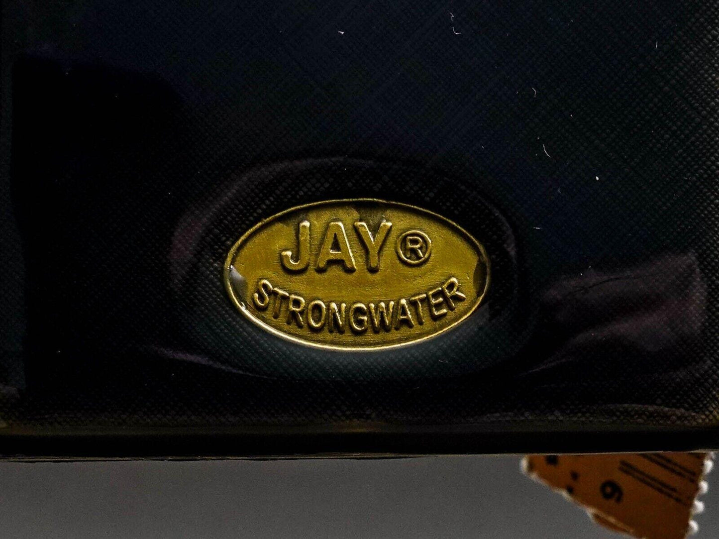 Jay Strongwater Swarovski Enamel Frog Leaf Double Folding Travel Picture Frame