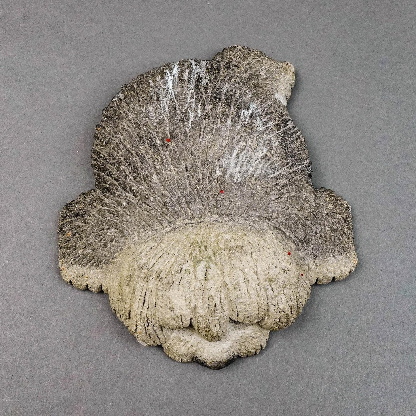 Lou Rankin Signed  1979 Old English Sheep Dog Concrete Sculpture 7 5/8"