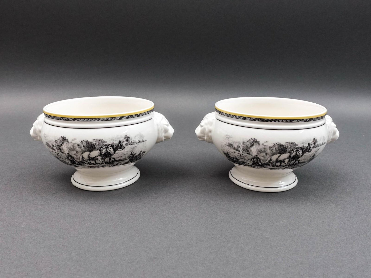 Villeroy & Boch Germany Audun Ferme Lion Head Porcelain Soup Bowl Set of 2