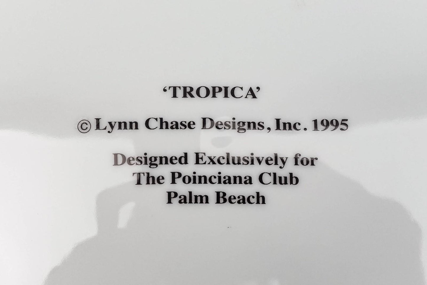 Lynn Chase Design Tropica Like Monkey Business Porcelain Dinner Plate Set Of 3