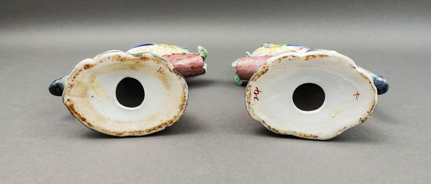 Pair Parrot Pheonix Peacock Pheasant Bird Pottery Figurine Book Sculpture (Read)