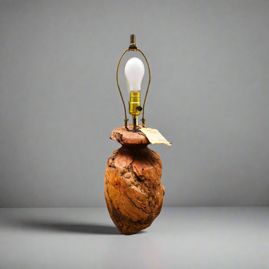 Manzanita Designs California Vintage Free Form Burl Root Wood Table Lamp