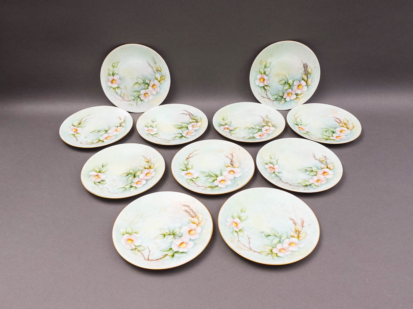 Hutschenreuther Selb Bavaria Germany Julia Duggan Painted Floral Plate Set Of 11