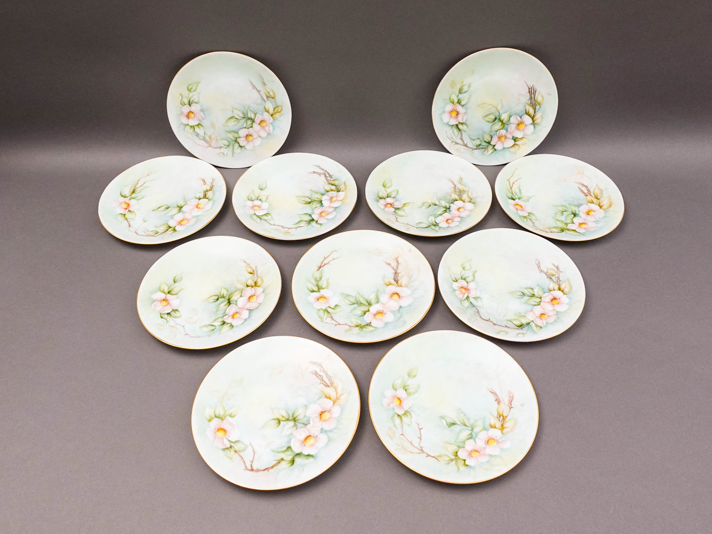 Hutschenreuther Selb Bavaria Germany Julia Duggan Painted Floral Plate Set Of 11