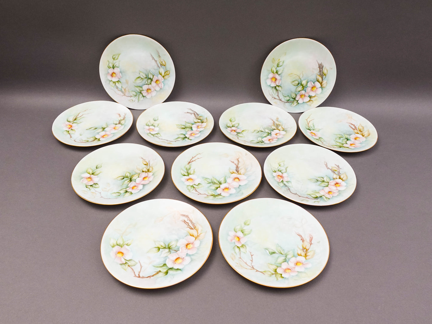 Hutschenreuther Selb Bavaria Germany Julia Duggan Painted Floral Plate Set Of 11