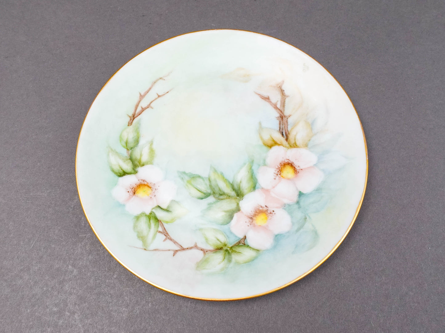 Hutschenreuther Selb Bavaria Germany Julia Duggan Painted Floral Plate Set Of 11