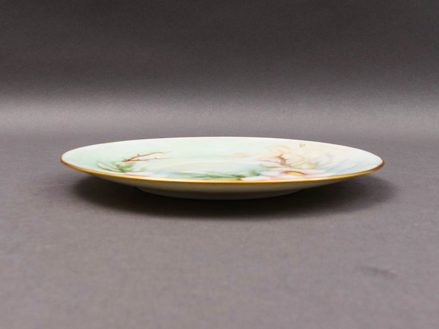 Hutschenreuther Selb Bavaria Germany Julia Duggan Painted Floral Plate Set Of 11